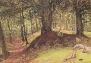Richard Redgrave,RA Parkhurst Woods,Abinger (mk46) oil on canvas